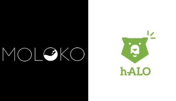 WORKSHOP CONGIUNTO DEI PROGETTI H2020 ‘MOLOKO’ E ‘h-ALO’
