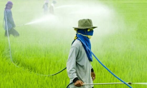 GLYPHOSATE- EUROPEAN UNION RENEWS FOR ANOTHER 5 YEARS