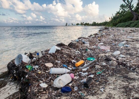 PLASTIC AND MICROPLASTIC POLLUTION