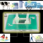 SICUREZZA ALIMENTARE IN POCHI MINUTI CON UN BIOSENSORE OTTICO