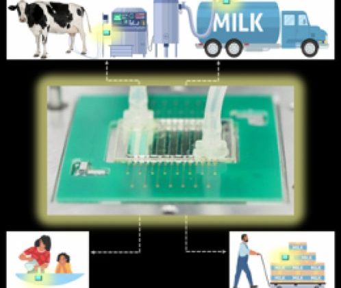 SICUREZZA ALIMENTARE IN POCHI MINUTI CON UN BIOSENSORE OTTICO